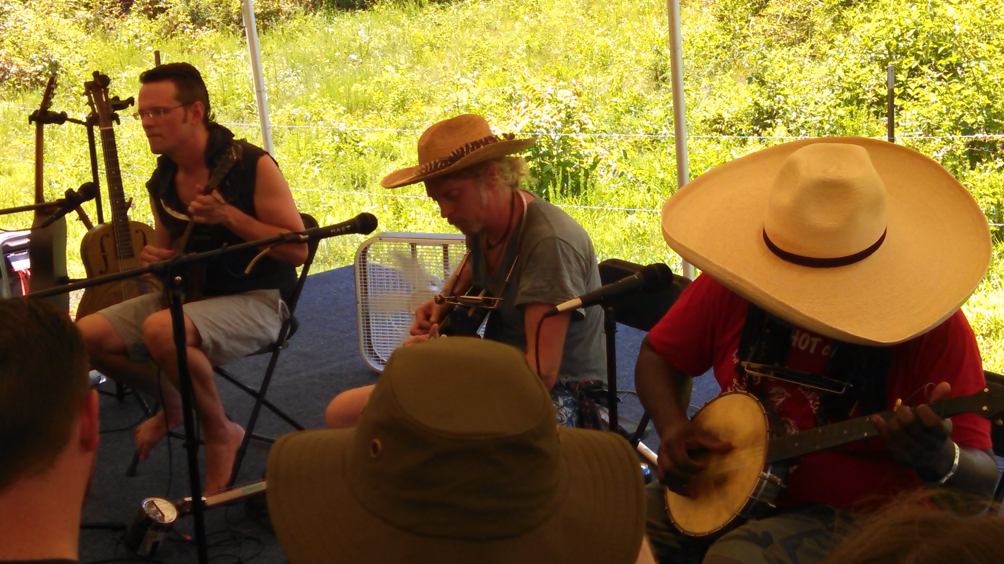 SouthMemphisStringBand2015-06-26NorthMississippiHillCountryPicnicWaterfordMS (5).jpg